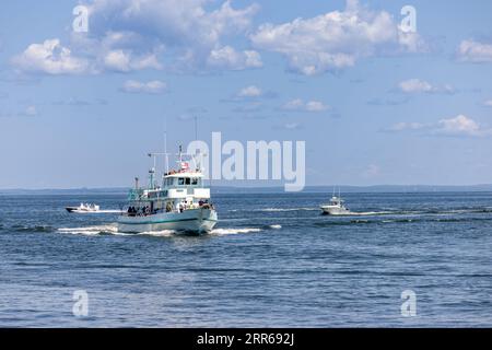 La Viking Star arriva al molo di montauk Foto Stock