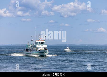 La Viking Star arriva al molo di montauk Foto Stock