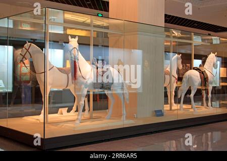 Hohhot City - 7 febbraio: Equipaggiamento per cavalli da pommel mongolo nel Museo interno della Mongolia, il 7 febbraio 2015, Hohhot City, Inner Mongolia Autonoma r Foto Stock