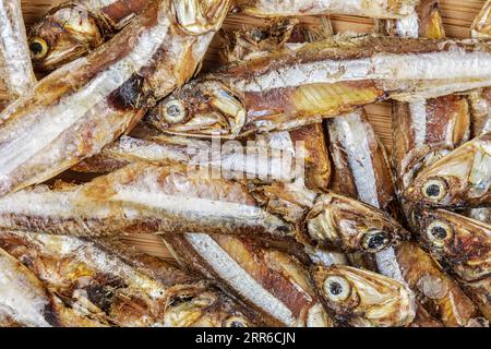 Il pesce piccolo essiccato è considerato una gastronomia nella maggior parte dei paesi asiatici, Filippine, Sud-Est asiatico Foto Stock