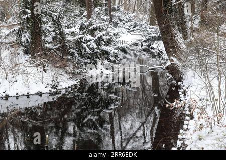 210210 -- BERLINO, 10 febbraio 2021 -- foto scattata il 9 febbraio 2021 mostra un ruscello al Parco Tiergarten di Berlino, capitale della Germania. GERMANIA-BERLINO-INVERNO ShanxYuqi PUBLICATIONxNOTxINxCHN Foto Stock