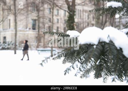 210210 -- BERLINO, 10 febbraio 2021 -- foto scattata il 9 febbraio 2021 mostra i rami ricoperti di neve a Berlino, capitale della Germania. GERMANIA-BERLINO-INVERNO ShanxYuqi PUBLICATIONxNOTxINxCHN Foto Stock