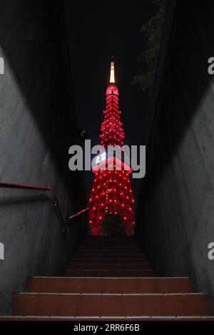 210211 -- TOKYO, 11 febbraio 2021 -- foto scattata l'11 febbraio 2021 mostra la Tokyo Tower illuminata a Tokyo, Giappone. Questo ha segnato la terza volta che la Tokyo Tower viene illuminata per celebrare il Chinese Spring Festival. GIAPPONE-TOKYO-TOKYO TOWER-SPRING FESTIVAL-ILLUMINATION DUXXIAOYI PUBLICATIONXNOTXINXCHN Foto Stock