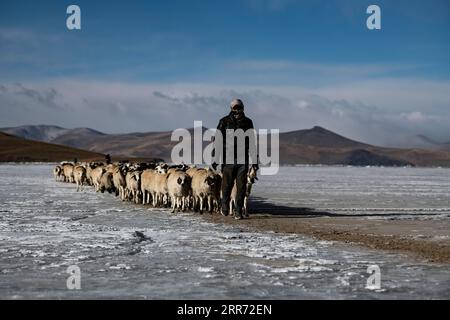 210309 -- LHASA, 9 marzo 2021 -- Un abitante del villaggio conduce una mandria di pecore lungo un percorso sicuro sul ghiacciato lago Puma Yumco, nella regione Autonoma Tibet della Cina sud-occidentale, il 6 marzo 2021. Nel periodo più freddo ogni anno, nel villaggio di Dowa, a 5.070 metri sul livello del mare, migliaia di pecore vengono portate attraverso l'acqua ghiacciata verso le isole sul lago Puma Yumco, uno dei laghi più alti del mondo. I pastori di solito trascorrono un mese con gli animali sulle isole, dove l'erba cresce fino all'altezza della vita. Quando la primavera si avvicina, le mandrie di pecore saranno riportate nel loro habitat precedente, camminando di nuovo attraverso il lago ghiacciato Foto Stock