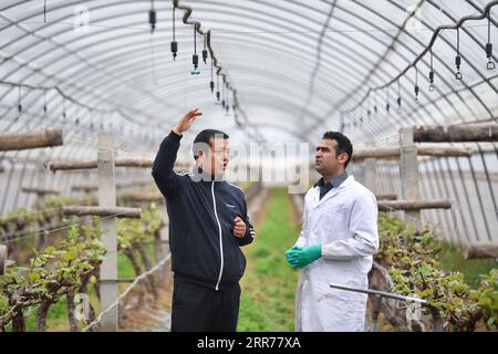 210318 -- XI AN, 18 marzo 2021 -- Abdul Ghaffar Shar R parla con il membro dello staff li Haiping sulle attrezzature per l'irrigazione in una cooperativa di Yangling, zona di dimostrazione industriale ad alta tecnologia agricola nella provincia dello Shaanxi della Cina nord-occidentale, 17 marzo 2021. Abdul Ghaffar Shar, 30 anni, è uno studente di dottorato pakistano nella Northwest Agriculture and Forestry University (NWAFU) della Cina. Shar sta facendo ricerche sulla nutrizione delle piante per il suo dottorato. Dopo aver conseguito la laurea in agricoltura presso la Sindh Agriculture University in Pakistan nel 2014, Shar ha deciso di proseguire i suoi studi nella NWAFU cinese. S Foto Stock