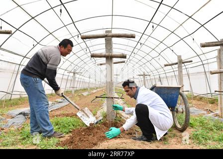 210318 -- XI AN, 18 marzo 2021 -- Abdul Ghaffar Shar R impara a piantare ciliegia in una piantagione di Yangling zona di dimostrazione industriale hi-tech agricola nella provincia dello Shaanxi della Cina nord-occidentale, 17 marzo 2021. Abdul Ghaffar Shar, 30 anni, è uno studente di dottorato pakistano nella Northwest Agriculture and Forestry University (NWAFU) della Cina. Shar sta facendo ricerche sulla nutrizione delle piante per il suo dottorato. Dopo aver conseguito la laurea in agricoltura presso la Sindh Agriculture University in Pakistan nel 2014, Shar ha deciso di proseguire i suoi studi nella NWAFU cinese. Shar ha imparato a parlare il mandarino e noi Foto Stock
