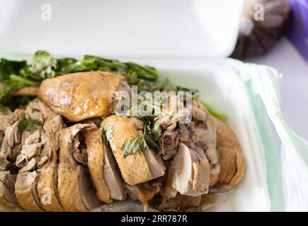 Anatra brasata o anatra al vapore con salsa di soia e spezie - stile asiatico Foto Stock