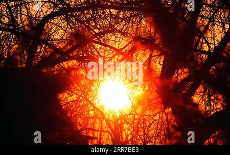 210324 -- MINSK, 24 marzo 2021 -- foto scattata il 24 marzo 2021 mostra il paesaggio dell'alba nel sobborgo di Minsk, Bielorussia. La primavera è arrivata con la temperatura in graduale aumento negli ultimi giorni. BIELORUSSIA-MINSK-SPRING HenadzxZhinkov PUBLICATIONxNOTxINxCHN Foto Stock