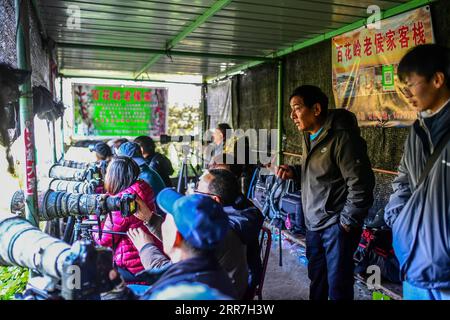 210329 -- KUNMING, 29 marzo 2021 -- foto scattata il 4 dicembre 2020 mostra Hou Tiguo 2nd R nel suo stagno di uccelli con turisti a Baihualing, un villaggio situato ai piedi orientali dei monti Gaoligong, Baoshan City, provincia dello Yunnan della Cina sud-occidentale. Xinhua in primo piano: Esplorazione del hotspot cinese per la biodiversità HuxChao PUBLICATIONxNOTxINxCHN Foto Stock