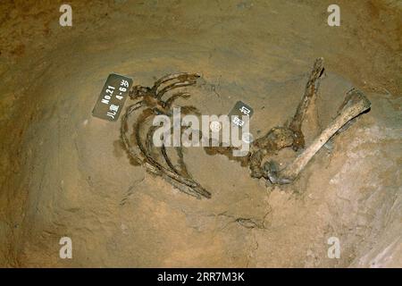 Contea di Luannan - 2 luglio: Resti ossei delle vittime nel memoriale del massacro del villaggio di Pandai, il 2 luglio 2015, contea luannan, provincia di hebei, Cina Foto Stock