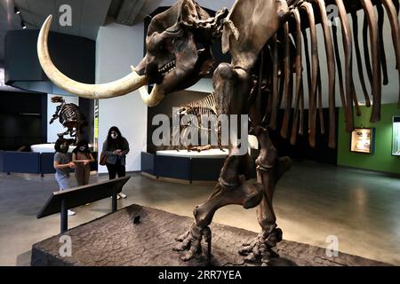 210408 -- LOS ANGELES, 8 aprile 2021 -- la gente visita la Brea Tar Pits and Museum a Los Angeles, California, Stati Uniti, l'8 aprile 2021. Dopo più di un anno di chiusura della COVID-19, il la Brea Tar Pits and Museum di Los Angeles ha riaperto al pubblico giovedì. Musei, gallerie, giardini botanici, zoo e acquari nella contea di Los Angeles sono autorizzati a riaprire i loro spazi interni al pubblico al 50% di occupazione massima al coperto dopo che la contea entra nell'Orange Tier. U.S.-LOS ANGELES-COVID-19-THE LA BREA TAR PITS AND MUSEUM-REOPENING XINHUA PUBLICATIONXNOTXINXCHN Foto Stock