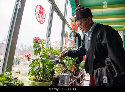 210409 -- LHASA, 9 aprile 2021 -- Ngawang Nyima Waters Plants nella sua residenza nella città di Qamdo, regione autonoma Tibet del sud-ovest della Cina, 18 febbraio 2021. Ngawang Nyima, 84 anni, è nato a Naixi Township, nella contea di Mangkam, nella città di Qamdo, nella regione autonoma del Tibet sud-occidentale della Cina, ed era un servitore. Carico di pesanti tasse, iniziò a allevare pecore per proprietari terrieri quando non aveva più di otto anni, e fu costretto a prendere il bittern da una salina presso il fiume Lancang. Il sentiero verso la salina era così precipitoso che un singolo passo sconsiderato ne avrebbe fatto cadere uno in rapide onde nel fiume. Ngawang Nyima jo Foto Stock