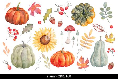 Collezione di elementi autunnali. Zucche, foglie d'acero, girasole, funghi, ghianda, foglia di quercia, fianchi rosa, rowan. Clipart per le vacanze stagionali Foto Stock