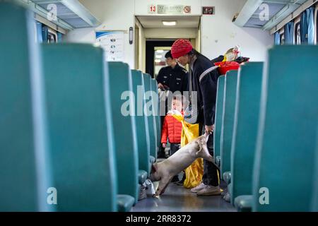 210415 -- XICHANG, 15 aprile 2021 -- Un maialino è visto sul treno 5633 nella provincia del Sichuan della Cina sud-occidentale, 11 aprile 2021. Mentre i moderni treni ad alta velocità passano accanto a nuove stazioni in tutta la Cina, un paio di treni a bassa velocità continuano a circolare attraverso i Monti Daliang. I 5633/5634 treni corrono tra Puxiong e Panzhihua della provincia del Sichuan con una velocità media inferiore a 40 km/h. Il viaggio con 26 stazioni in un intervallo di undici ore e quattro minuti, con i prezzi dei biglietti che vanno da 2 yuan a 25,5 yuancirca 0,3-3,9 dollari USA. I treni a bassa velocità mandano i bambini alle loro scuole, S Foto Stock