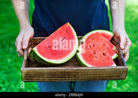 Woman holding tray with fresh sliced watermelon. Selective focus on the watermelon. Outdoors in the garden Foto Stock