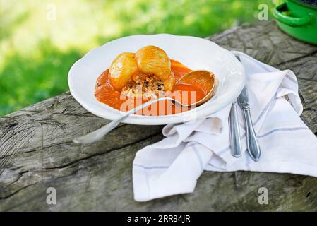 Peperoni ripieni con carne macinata e riso in salsa di pomodoro. Piatto europeo a base di peperoni, ripieno con un mix di carne e riso in salsa di pomodoro Foto Stock