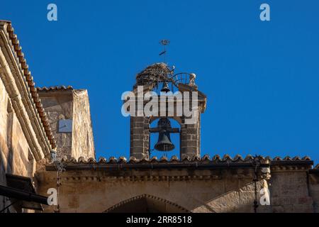 Nido di cicogne arroccato e costruito con rami sopra il campanile e una piccola campana dell'antica cattedrale di Salamanca con i tetti piastrellati delineati da Foto Stock