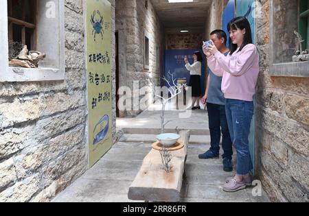 210421 -- JINJIANG, 21 aprile 2021 -- i visitatori scattano foto delle opere d'arte di Cai Jingxiang con le gallerie di mare nella sua sala espositiva di gallerie di mare nella città di Jinjiang, nella provincia del Fujian della Cina sud-orientale, il 20 aprile 2021. CAI Jingjiang, un designer di pubblicità di carriera, è tornato cinque anni fa nella sua città natale al Tangdong Village, Jinjing Township della città di Jinjiang. Ha trovato ispirazione dalle deriva marine che si sono gettate a riva vicino al suo villaggio, molte delle quali in forme uniche. Un giorno dopo l'altro, Cai cercò attraverso la spiaggia e portò a casa drift con potenziale artistico, e li trasformò in pezzi di artwo Foto Stock