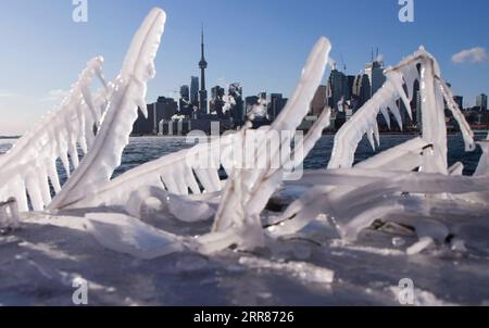 210422 -- PECHINO, 22 aprile 2021 -- il centro di Toronto è visto attraverso il ghiaccio rime a Toronto, Canada, 13 febbraio 2016, dopo che è stato emesso un allarme per il freddo estremo. La nostra patria, la Terra, si trova di fronte a gravi sfide per il suo clima e l'ambiente. E' nostro dovere agire e proteggere il pianeta Blu dove ognuno di noi vive. Foto di /Xinhua EARTH DAY 2021-ENVIRONMENTAL-AWARENESS ZouxZheng PUBLICATIONxNOTxINxCHN Foto Stock