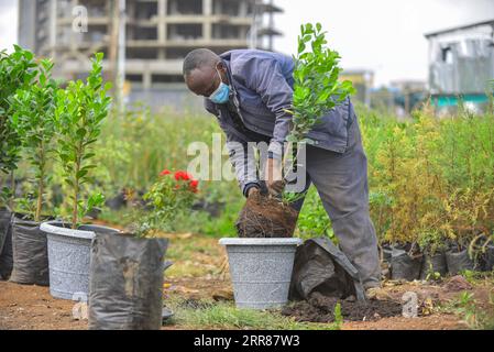 210423 -- ADDIS ABEBA, 23 aprile 2021 -- Mekbib Megersa, laureata in indagini e costruzioni, si occupa di lavori di giardinaggio e paesaggistica che coinvolgono la produzione di massa di piantine di piante in siti improvvisati di serra e vivaio nei lati delle strade di Addis Abeba, Etiopia, 22 aprile 2021. Mentre l'Etiopia si prepara a realizzare la sua aspirazione di costruire un'economia verde, i giovani etiopi in cerca di lavoro hanno abbracciato l'impresa di piantare e giardinaggio di alberi commerciali una volta trascurati. La produzione di piantine e il giardinaggio, proprio come un tipico lavoro agricolo, erano stati a lungo lasciati ai poveri e rurali etiopi, m Foto Stock