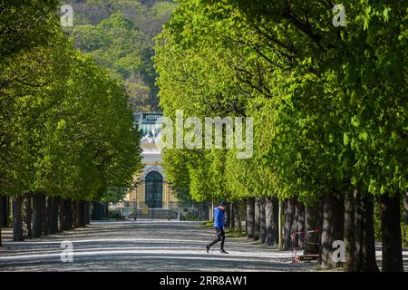 210428 -- VIENNA, 28 aprile 2021 -- foto scattata il 28 aprile 2021 mostra il paesaggio dei Giardini Schonbrunn a Vienna, Austria. AUSTRIA-VIENNA-SCHONBRUNN PALACE-SCENIC GuoxChen PUBLICATIONxNOTxINxCHN Foto Stock