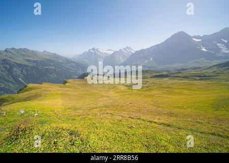 Foto scattate nell'oberland bernese in svizzera sul Mannlichen, alto 2342 m. La montagna offre vedute fantastiche. Foto Stock