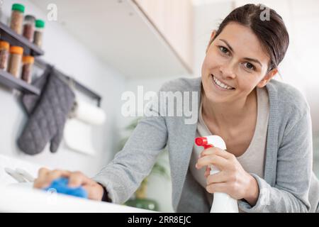 giovane donna felice che utilizza un panno e un detergente spray Foto Stock