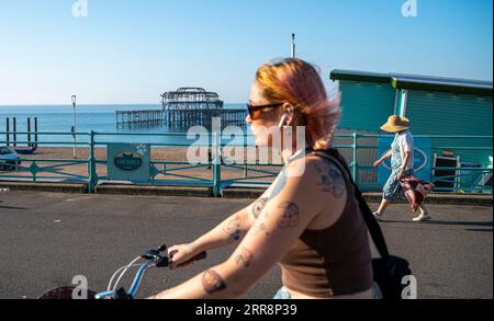 Brighton Regno Unito 7 settembre 2023 - è un'altra bella mattinata calda e soleggiata sul lungomare di Brighton con temperature che dovrebbero raggiungere di nuovo i 30 gradi in alcune parti del Regno Unito : Credit Simon Dack / Alamy Live News Foto Stock