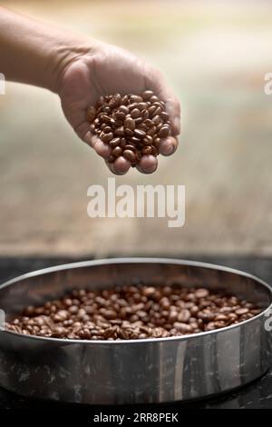 Dopo il processo di tostatura, i chicchi di caffè freschi vengono inseriti nel vassoio Foto Stock