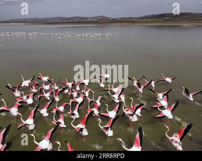 210517 -- ANKARA, 17 maggio 2021 -- i fenicotteri si vedono in un lago vicino ad Ankara, Turchia, 16 maggio 2021. Foto di /Xinhua TURKEY-ANKARA-FLAMINGO MustafaxKaya PUBLICATIONxNOTxINxCHN Foto Stock