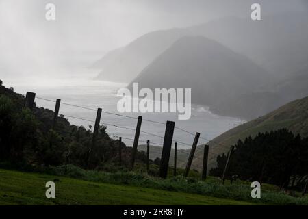 Scogliere miste sul mare, Makara, Wellington, Isola del Nord, nuova Zelanda Foto Stock