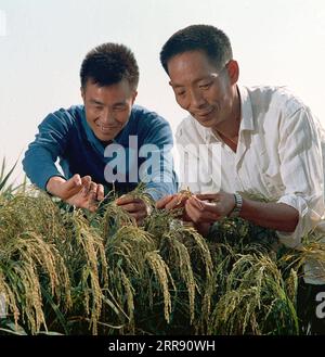 210522 -- PECHINO, 22 maggio 2021 -- la foto del file scattata nel 1976 mostra Yuan Longping R osservando la crescita del riso ibrido con il suo collega li Bihu. Lo scienziato cinese Yuan Longping, famoso per aver sviluppato il primo ceppo di riso ibrido che ha tirato fuori dalla fame innumerevoli persone, è morto di malattia alle 91 di sabato. CHINA-YUAN LONGPING-PADRE DEL RISO IBRIDO-MORTE CN XINHUA PUBLICATIONXNOTXINXCHN Foto Stock