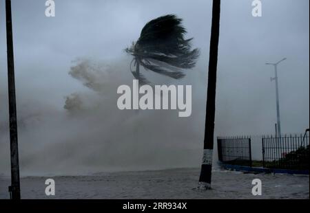 210526 -- CALCUTTA, 26 maggio 2021 -- foto scattata il 26 maggio 2021 mostra alberi colpiti dalla tempesta ciclonica Yaas nella località balneare di Digha, vicino a Calcutta, capitale dello stato indiano orientale del Bengala Occidentale, India. Mercoledì sono state uccise cinque persone dopo che la tempesta ciclonica Yaas ha colpito l'area costiera degli stati indiani orientali del Bengala occidentale e dell'Odisha, hanno riferito i media locali. Str/Xinhua INDIA-CICLONE STORM-YAAS Stringer PUBLICATIONxNOTxINxCHN Foto Stock