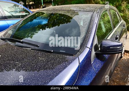 7 settembre 2023. Sahara Dust Covers auto nel Regno Unito. Picture Credit Robert Timoney/Alamy/Live/News Foto Stock