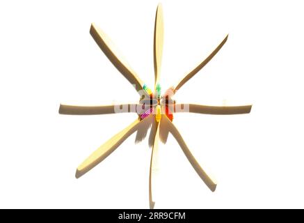spazzolini in bambù multicolore. prodotti per l'igiene orale in legno. Verde, zero sprechi Foto Stock