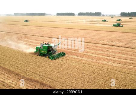 210616 -- ZHENGZHOU, 16 giugno 2021 -- foto aerea mostra i raccoglitori che lavorano in un campo di grano presso la fattoria Huangfanqu, una moderna fattoria dimostrativa nazionale di agricoltura, nella provincia di Henan, nella Cina centrale, 2 giugno 2020. La fattoria Huangfanqu, fondata nel 1951, è una delle prime fattorie meccanizzate di proprietà statale dalla fondazione della Repubblica Popolare Cinese. Ora la fattoria Huangfanqu, con una superficie di circa 7.000 ettari, vede il livello completo di meccanizzazione del lavoro agricolo raggiungere il 99%. CHINA-HENAN-WHEAT HARVESTCN LixJianan PUBLICATIONxNOTxINxCHN Foto Stock