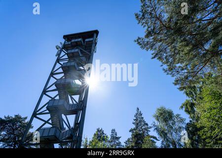 Torre di guardia antincendio sul Rennberg, vicino a Flaesheim, Haltern am SEE, nell'area forestale di Haard, una delle 3 torri di guardia antincendio della regione, da aprile a Octo Foto Stock