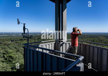 Torre di guardia antincendio sul Rennberg, vicino a Flaesheim, Haltern am SEE, nell'area forestale di Haard, una delle 3 torri di guardia antincendio della regione, da aprile a Octo Foto Stock