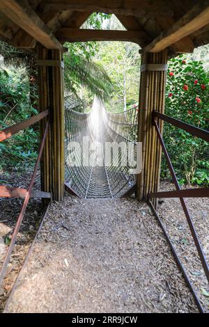 Il ponte di corda della Birmania presso i Lost Gardens di Heligan, Pentewan, St.Austell, Cornovaglia, Inghilterra, REGNO UNITO Foto Stock