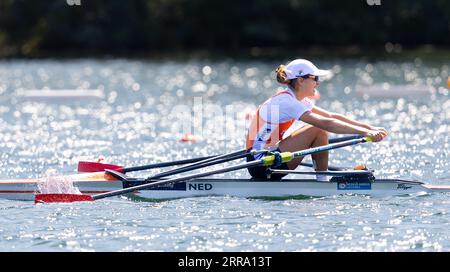 BELGRADO - Martine Veldhuis in azione durante la quinta giornata dei Campionati del mondo di canottaggio nella capitale serba Belgrado. ANP IRIS VAN DEN BROEK paesi bassi Out - belgio Out Foto Stock