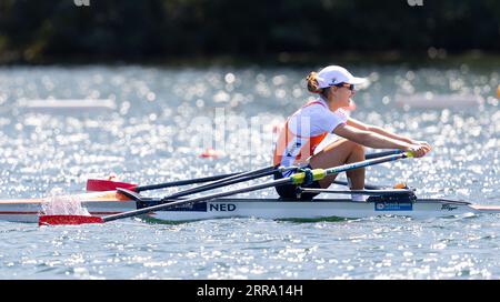 BELGRADO - Martine Veldhuis in azione durante la quinta giornata dei Campionati del mondo di canottaggio nella capitale serba Belgrado. ANP IRIS VAN DEN BROEK Foto Stock