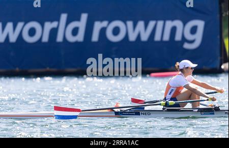 BELGRADO - Martine Veldhuis in azione durante la quinta giornata dei Campionati del mondo di canottaggio nella capitale serba Belgrado. ANP IRIS VAN DEN BROEK Foto Stock