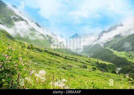 Un paesaggio collinare in Himalaya sotto un cielo nuvoloso bianco a 12.000 metri dal livello del mare. Foto Stock