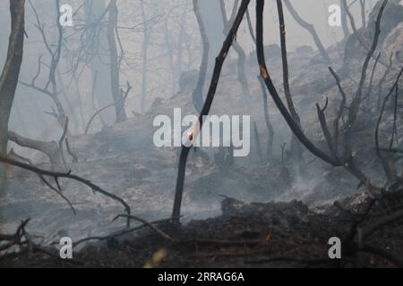 210729 -- AKKAR LIBANO, 29 luglio 2021 -- gli alberi sono visti divorati da un incendio ad Akkar, nel nord del Libano, il 29 luglio 2021. Il massiccio incendio scoppiato nel villaggio settentrionale del Libano di Qoubaiyat continua a infuriare nella regione per il secondo giorno, come riportato giovedì da un notiziario locale. Foto di /Xinhua LEBANON-AKKAR-FOREST FIRE Khaled PUBLICATIONxNOTxINxCHN Foto Stock