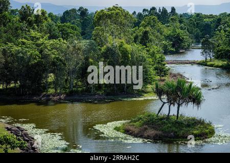 TYTO Wetlands, Ingham, Queensland, Australia Foto Stock