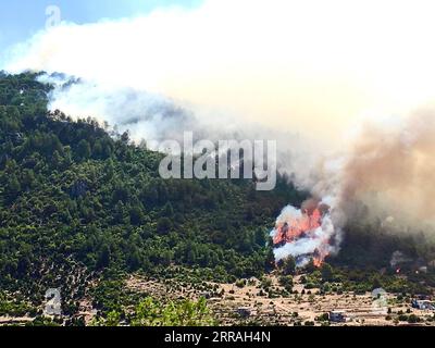 210801 -- ANTALYA, 1 agosto 2021 -- Un incendio boschivo brucia vicino alla città di Manavgat, a est della città turistica di Antalya, Turchia, 31 luglio 2021. La Turchia è sotto lo shock di incendi boschivi senza precedenti che hanno ucciso quattro persone e ferito decine di altre nelle sue province meridionali turistiche costiere, mentre le autorità stanno indagando su richieste di sabotaggio. TURCHIA-ANTALYA-INCENDIO FORESTALE XINHUA PUBLICATIONXNOTXINXCHN Foto Stock