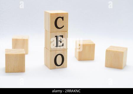 Testo CEO su blocchi di legno su sfondo bianco con spazio personalizzabile per testo o idee. Concetto aziendale Foto Stock