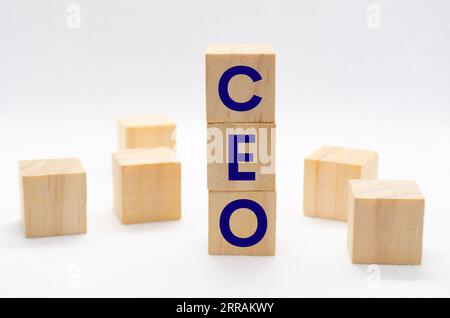 Testo CEO su blocchi di legno con spazio personalizzabile per testo o idee. Concetto aziendale Foto Stock