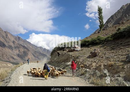 Pastori di pecore al passo Shandur nel nord del Pakistan Foto Stock