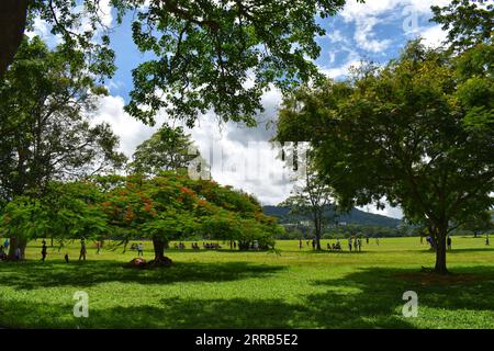 Queen's Park Savannah, Porto di Spagna, Trinidad e Tobago Foto Stock